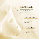 SadoerVitaminC24kGoldHyaluronicAcidAmpouleSerumFacialSheetMask-2_ee7f41b6-0222-4920-a7cd-17198ff7b148_800x.webp