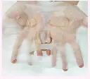 c9-800x703_cea0ef7d-4d6b-4c9b-b374-996da038c695_800x.webp